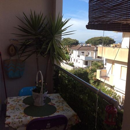 Dolce Casa Di Elena Διαμέρισμα Νετούνο Δωμάτιο φωτογραφία